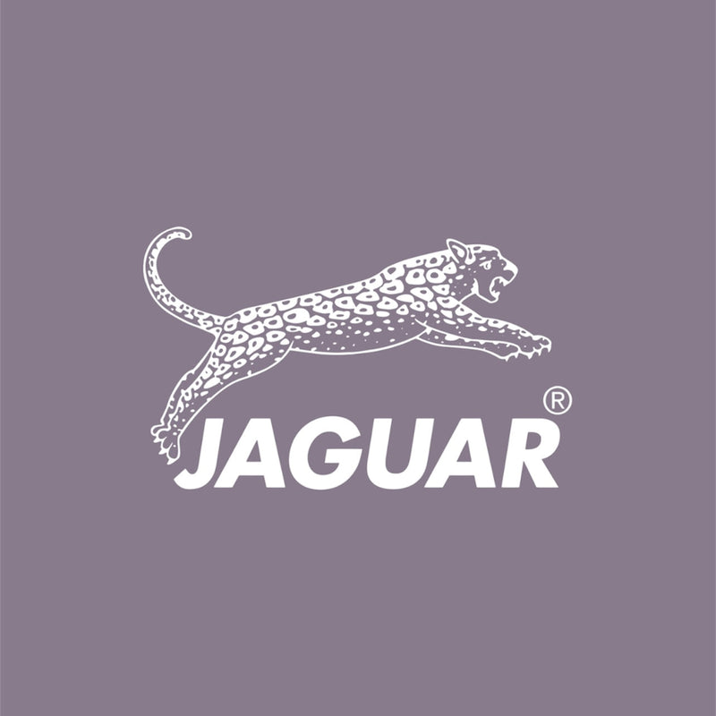 Jaguar Solingen