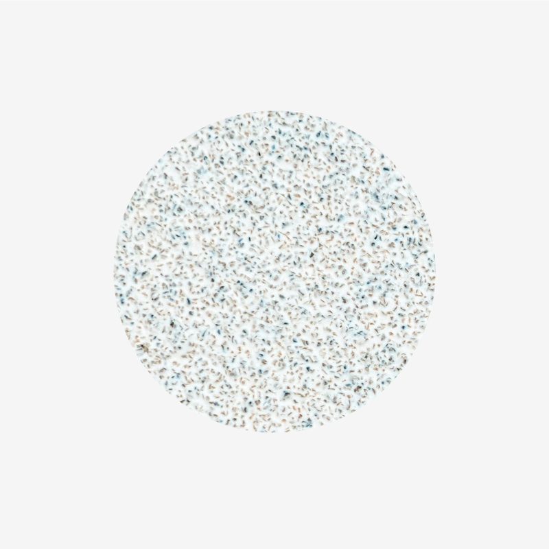 STALEKS EXPERT BIJELI ZAMJENSKI JASTUČIĆI ZA DISK L GRIT 80