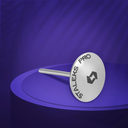 STALEKS EXPERT NASTAVAK ZA FREZU DISK KIŠOBRAN L + GRIT 180